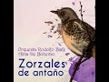Una Pena