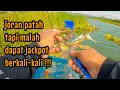 Download Lagu JORAN PATAH MEMBAWA BERKAH‼️ DAPAT JACKPOT BERKALI-KALI || mancing ikan red devil nahol mania
