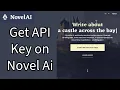 How to Get the API Key on Novel AI Account Obtain the API Key on Novel AI Account on PC 2024