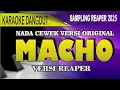 Download Lagu Karaoke Macho (nada cewek) - Vetty Vera