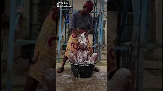 How African Parents Prepare Their Children For School  How African Parents Prepare Their Children For School