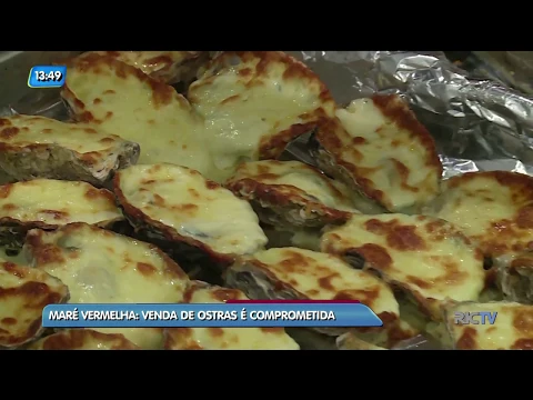 Venda de ostras é comprometida por conta da maré vermelha SC