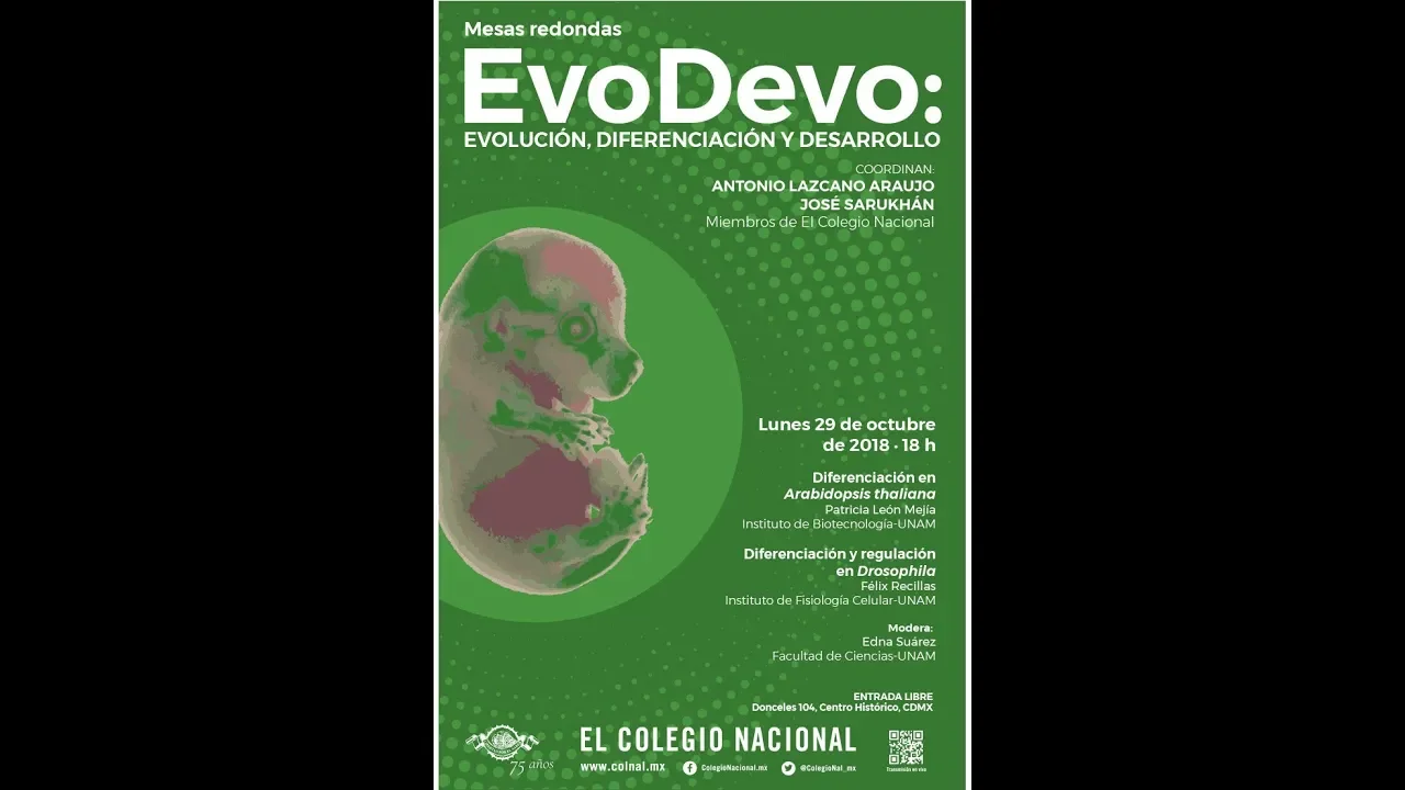 EVO / DEVO: Evolución, Diferenciación y desarrollo. Mesas redondas