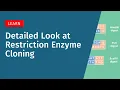 Restriction Enzyme Cloning in Depth Type IIP Enzymes and Directional Cloning