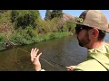 Slap Reach Cast for Hopper Action