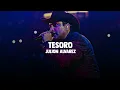 Tesoro - JULION ALVAREZ // Exitos de Moda 🎵❤️