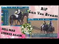 RIP Can You Dream 2 deaths in 2 days Hell Mar 7 26 26 DelMarRacing