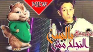 كليب النجاح مش بالسن  ثقه في الله أنا نمبر وان  سامر المدني                         دندنها