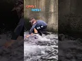 #fishing #shorts #viral
