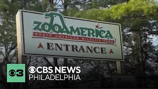 Couple charged after child crawls under fence at ZooAmerica in Hershey Pennsylvania