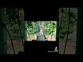 Download Lagu Mulu National Park