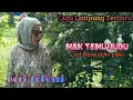Download Lagu Lagu Lampung Terbaru - MAK TEMU JUDU - Cipt.Nasruddin paku || Cover,Heri Sofyati - Arr : Adi Mukhtar