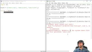 How To Delete a File with Python - os remove Example