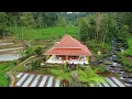 Download Lagu Serpihan Surga 🤩 Rumah Pinggir Sungai Di Kampung Sejuk Bikin Betah Ditambah Syahdu Turun Hujan