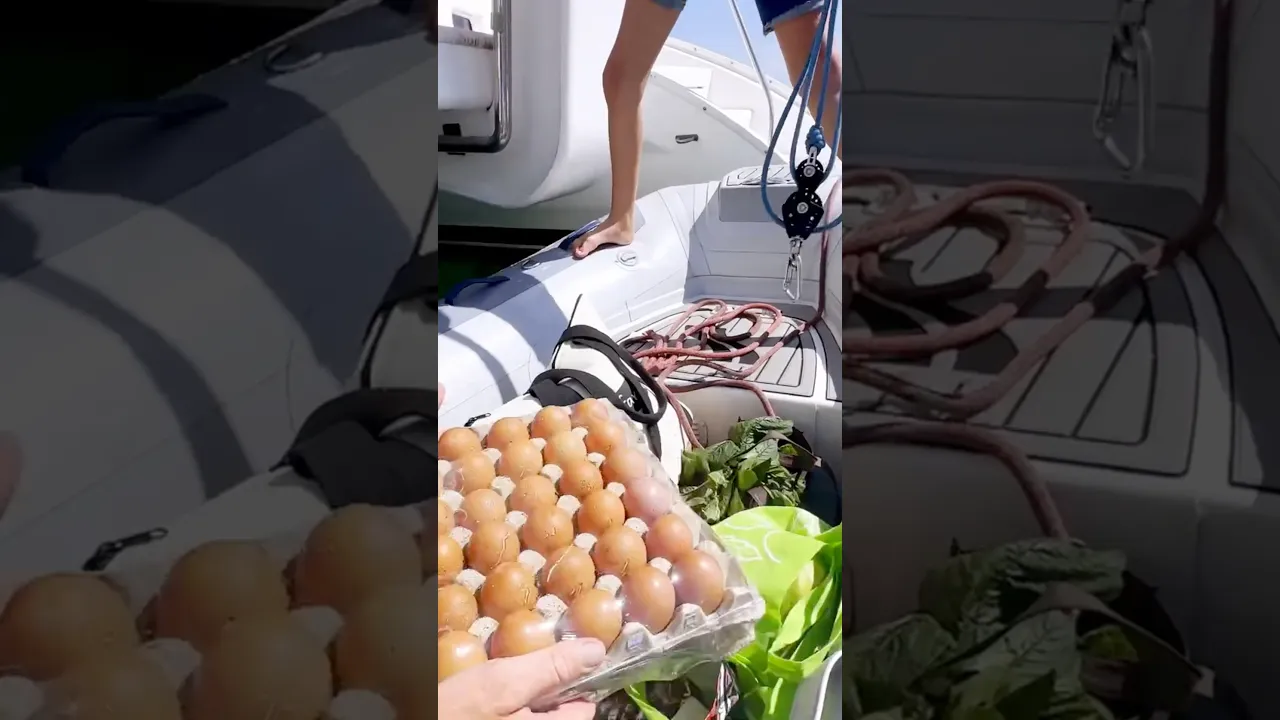 Getting ready to head remote means loading up with groceries! 🥦#sailingfamily #boatlife #remote