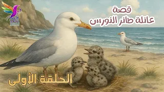قصة عائلة النورس للأطفال الحلقة الأولى 