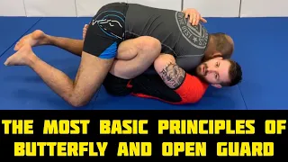 Butterfly Guard FREE Videos & Techniques – Best BJJ Guide