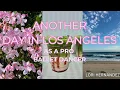 ANOTHER DAY IN LA vlog 8 14 26