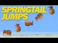 Download Lagu Springtail Jumps Off Water and in Super Slow Motion!