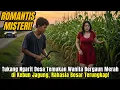 Download Lagu Tukang Ngarit Desa Temukan Wanita Bergaun Merah di Kebun Jagung, Rahasia Besar Terungkap!