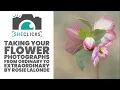 Download Lagu Taking your Flower Photographs from Ordinary to Extraordinary by Rosie Lalonde