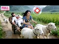 Lagu CEO Tertembak 20 Panah,Kira Ajal Tiba!Tak Tahu Gadis Gembala Naik Kambing Antar ke RS!—Cinta Lahir!