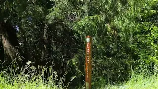 1105 Stanley Point walk to George Hill Park with a stop by the Walden Rd Ocean access