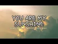 You Are My Sunshine - Christina Perri (Lyrics video dan terjemahan) Cover by Michela Thea