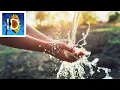 Sunlight And Water Uniquely Fit to Sustain Life