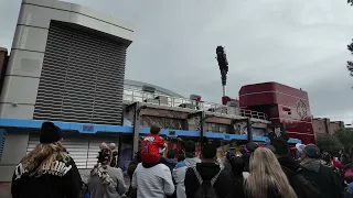                           دندنها