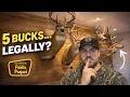 How to Legally Harvest 5 Bucks on Georgia Public Land