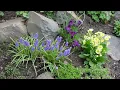 Download Lagu *** - We are waiting for spring ! -  Music SERGEY GRISCHUK- *** ( Wonderful music )