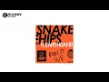 Snakehips, EARTHGANG - Run It Up