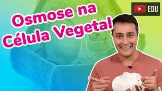 OSMOSE NA CÉLULA VEGETAL - Transporte Passivo - Prof. Paulo Jubilut