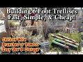How to Build a 6 ft 4 ft Chicken Wire Garden Trellis Cheap Effective for Vertical Gardening