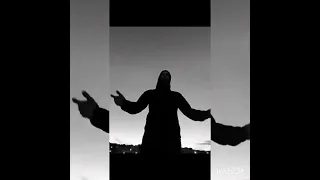 میگن گرگا قبل اینکه سراغ گله بیان فدایی گوش میدن ساب کنید 