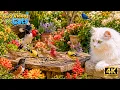 Red-headed Woodpecker Sparks a Golden Garden Rush Bird s for Cats