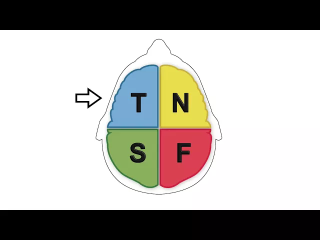 Video: Thinking Te vs Ti