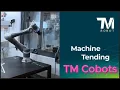 Techman Robot AI Cobot for Smart Manufacturing