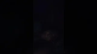 hot boudi sexy tango live video please subscribe my channel 