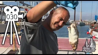 Rat Onboard! Horror of Finding a Rat on our Boat – Liveaboards Nightmare 030