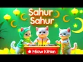 Download Lagu DJ SAHUR SAHUR ( AYO KITA SAHUR ) VERSI KUCING LUCU TERBARU