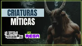 ¿Existen los animales míticos? Una oyente cuenta su experiencia personal | El Cartel de La Mega