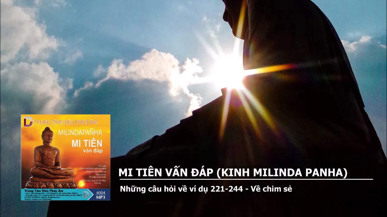 Những câu hỏi về ví dụ 221-244 Về chim sẻ 