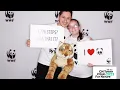 We Did The CN Tower Climb 1 776 Steps