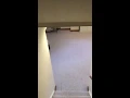Basement Walk Through of Home For Sale in Canfield Ohio