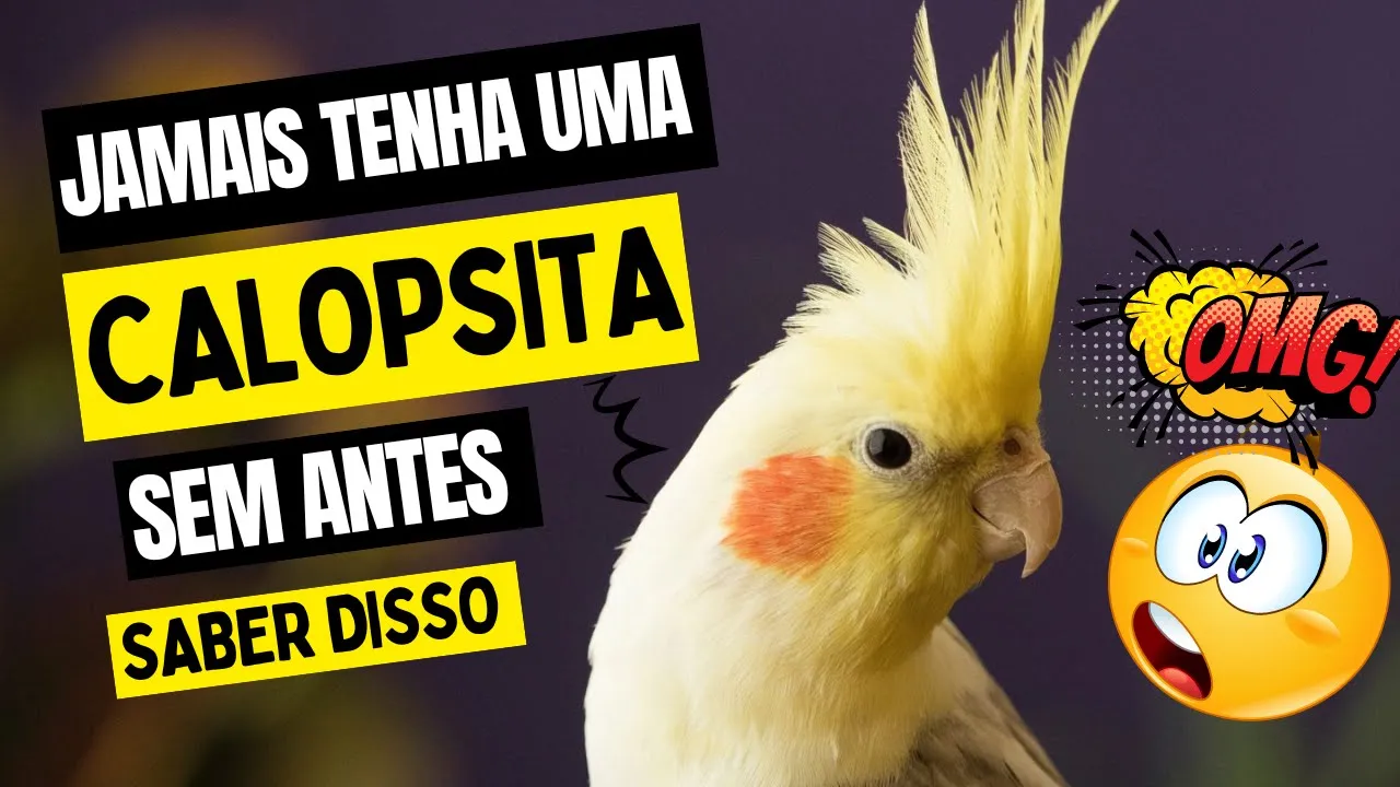 Descubra os segredos surpreendentes das calopsitas! Você sabia dessas 7 curiosidades incríveis?