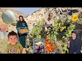 Download Lagu 🍆🍅🌶Harvesting eggplant and natural products from the Nab Nomad Farm: Completing the kitchen wall