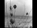 Undulate - Recondite