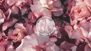 بدون موسيقى  حان الآن   أدهم نابلسي دندنها